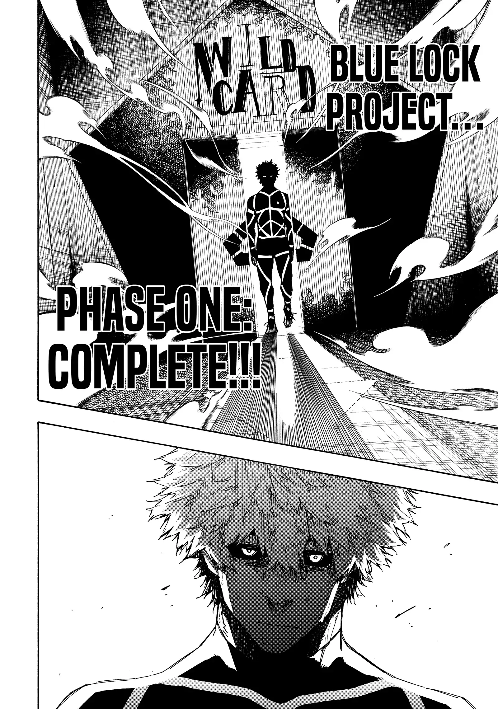 27976965 1600 2278 612530