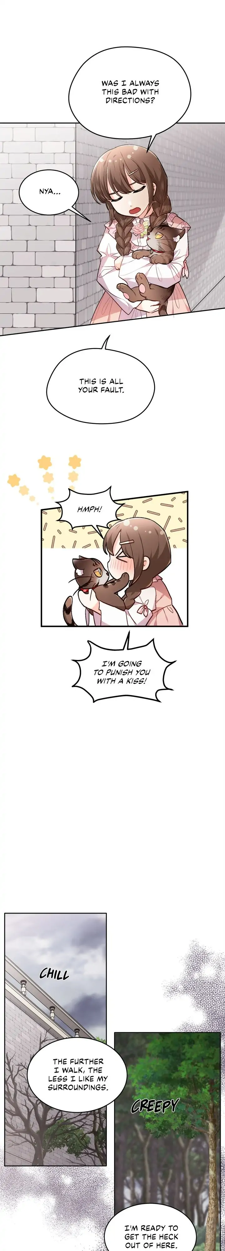 20436575 720 4000 166604